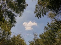 -长沙黑麋峰国家森林公园