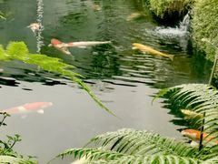 -罗红摄影艺术馆