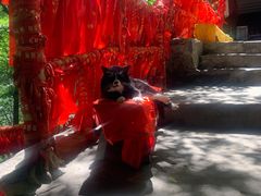 -孤山寨风景区