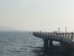 -演武大桥观景平台