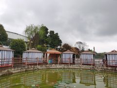 -马帮寨院坝火锅(龙港公园店)