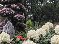 -汇龙潭