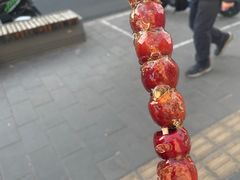 -和禄德冰糖葫芦