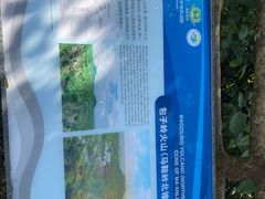 -海口火山口国家地质公园