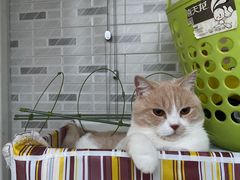 -宠福鑫康馨动物医院·骨科·眼科