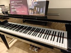 -雅歌音乐培训中心·钢琴培训·乐器培训(交道口店)