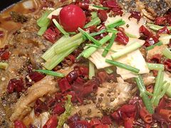 -老板恋上鱼(印象城店)