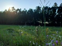 -那琴半岛地质海洋公园