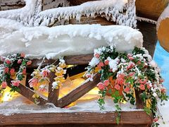 -世界之窗阿尔卑斯冰雪世界