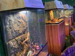 -荆州中山公园动物园