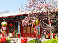 门面-白家大院·王府宫廷菜(苏州街店)