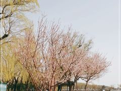 -颐和园