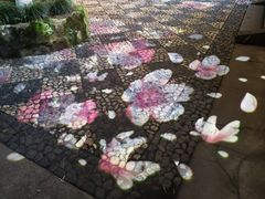 -杭州黄龙洞
