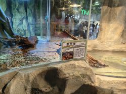 -Zoolung Zoolung动物主题公园(海信广场店)