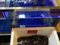 -班赞海鲜市场