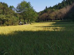 -常德桃花源景区