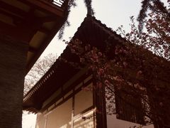 -西安青龙寺遗址景区