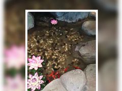 -长春宾馆·丽豪浴都