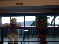 -济州岛泰迪熊博物馆