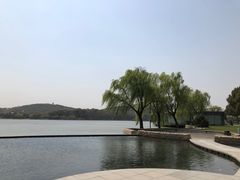 -上海月湖雕塑公园