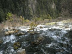 -九寨沟-树正沟