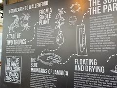 -Jamaicablue Coffeeshop(中央广场店)