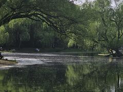 -共青国家森林公园-售票处