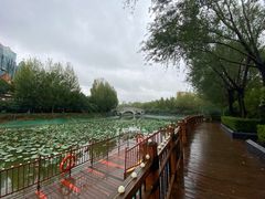 -郑州方特梦幻王国