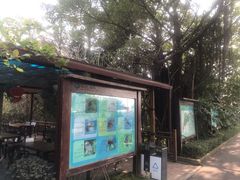 -大湾区中央湿地公园