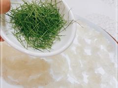 -寻味顺德·南记酒家·传统顺德菜·鱼生(广源路店)