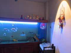-逸栈养生SPA(望京店)