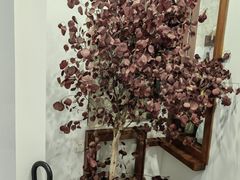 -侘寂甜品(自取店)