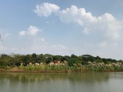-南湖湿地公园
