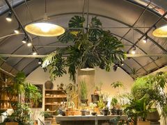 -自由生长植物工作室(深港花卉中心店)