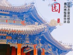 -颐和园