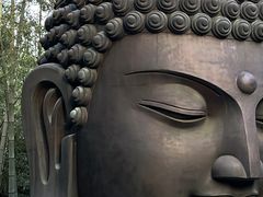 -杭州植物园