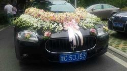 -蚂蚁婚车
