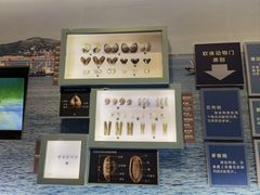 -舟山博物馆