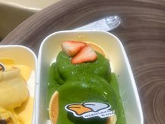 -狐狸和向日葵(北京路店)