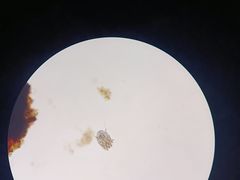 -宠颐生宠物医院·心肾内科·猫专科诊疗中心宠巢店