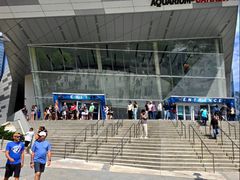 -瑞普利水族馆