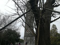 -上海佘山国家森林公园天马山园