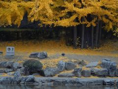 -香山公园