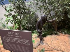 -北京周口店北京人遗址博物馆