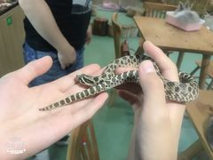 -藦茜花园宠物主题亲子互动体验馆(国顺东路店)
