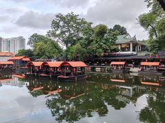 -侨美·唐荔园·40年地道粤菜