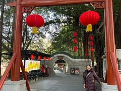 -侨美·唐荔园·40年地道粤菜