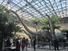 -国家自然博物馆