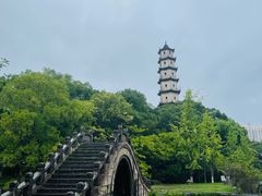 -江心屿景区