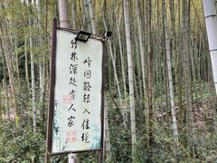 -铁山坪森林公园